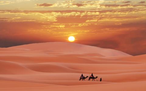 沙漠，沙滩，阳光，骆驼，人