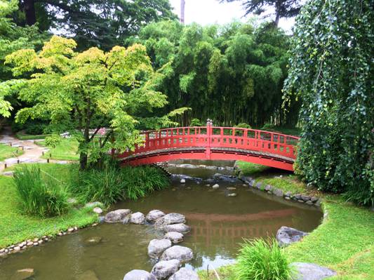 桥,花园,法国,巴黎,树木,阿尔伯特 - 卡恩,日本庭园,池塘,石头