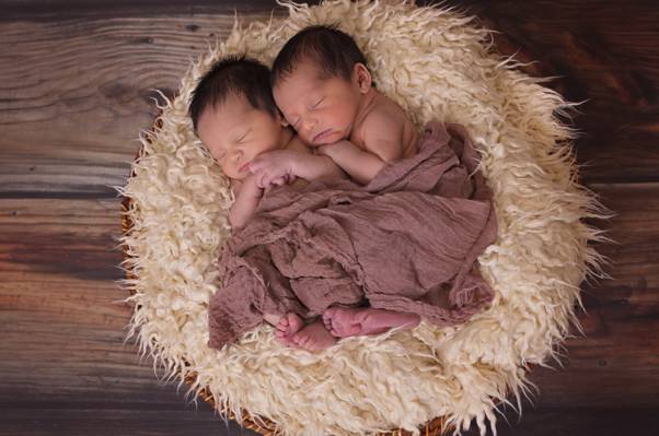 睡在白色羊毛床上的两个新生婴儿覆盖在灰色的毯子高清壁纸