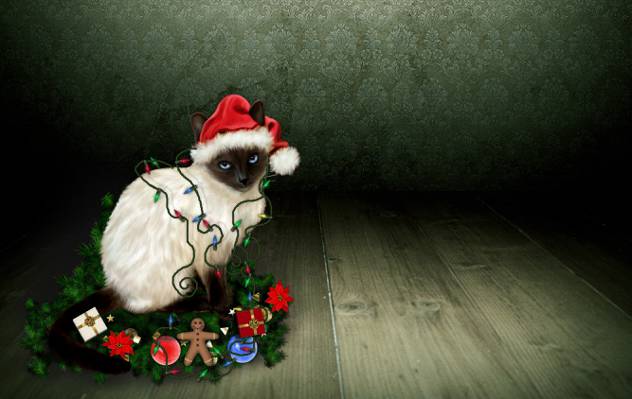 猫,看,姜饼人,圣诞装饰品