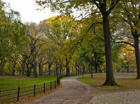 灰色混凝土路与白色之间的绿叶树之间的黑色金属屏障,中央公园高清壁纸