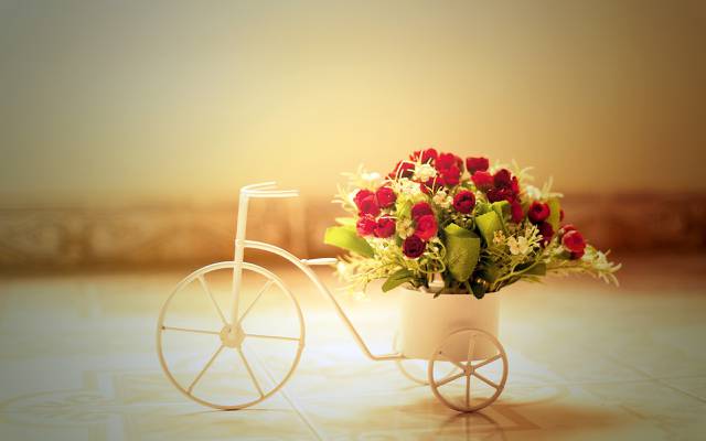 鲜花,自行车,玫瑰