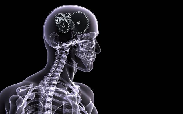 人,骨架,脑,x射线,黑色背景,齿轮
