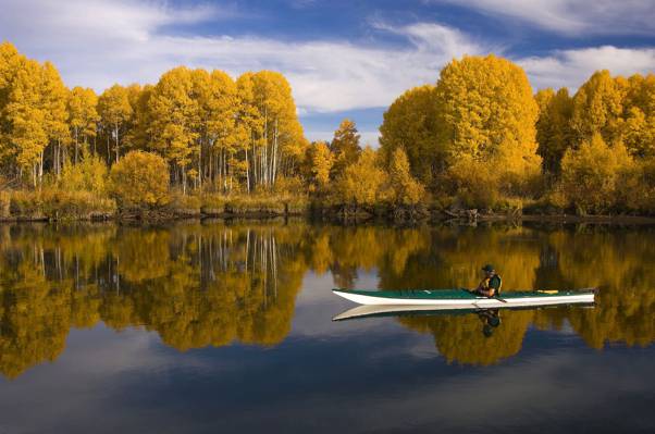 宽的湖在白天高清壁纸包围黄色的叶子树