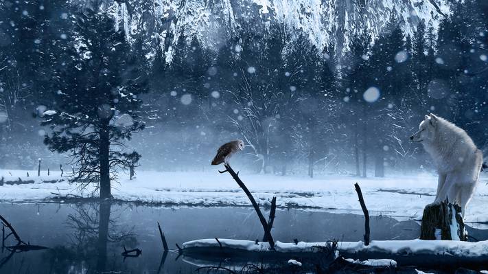 湖,冬天,雪,艺术,猫头鹰,狼