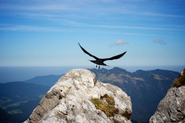 鸟飞通过岩石山高清壁纸的航拍照片