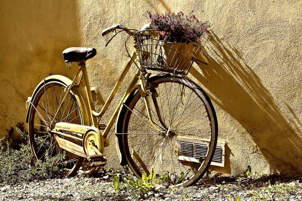 米色固定齿轮自行车高清壁纸