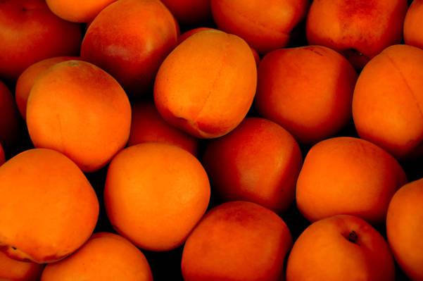 橙色水果高清壁纸