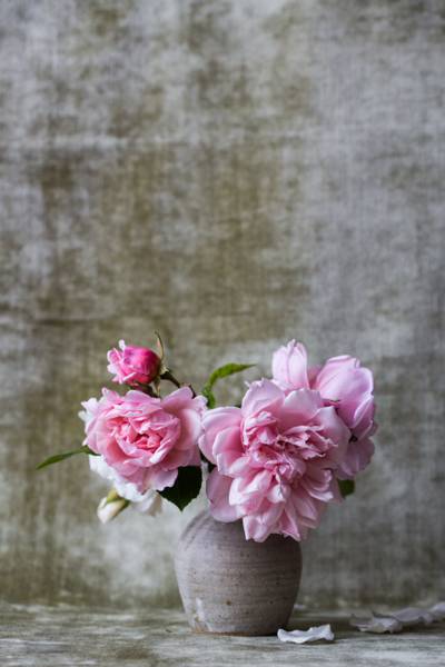 粉红色的玫瑰与灰色的花瓶高清壁纸