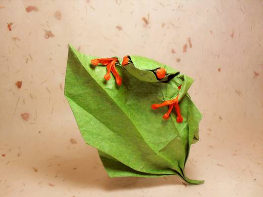 绿色,爬,叶,折纸,叶子,眼睛,青蛙,青蛙,绿色,折纸,举,眼睛