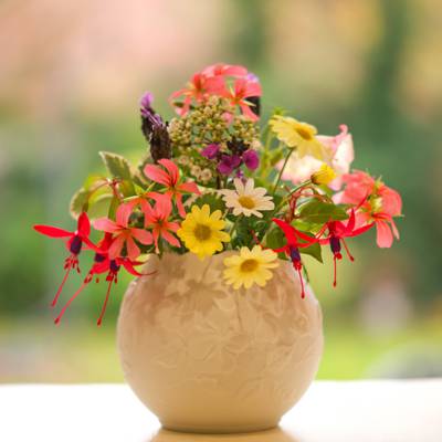 花瓶,天竺葵,洋甘菊,紫红色,夏天的花束,Erysimum,薰衣草