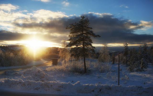 早上,风景,冬天