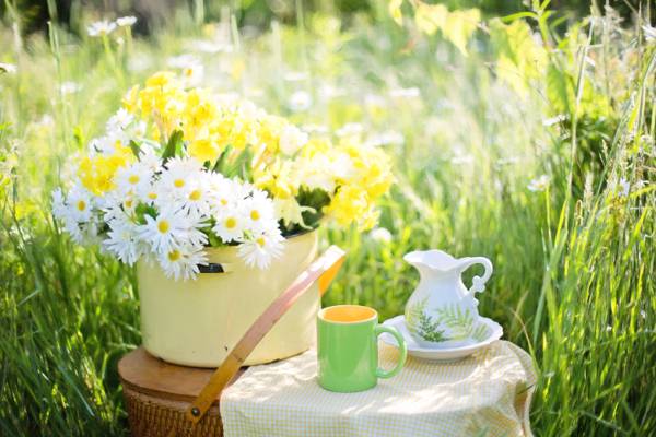 白色和黄色在花盆旁边的洗手盆和投手套和绿色陶瓷杯子高清壁纸花瓶中的花