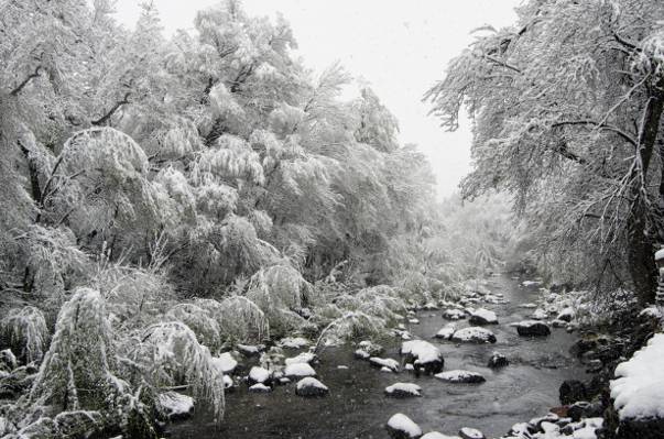 雪覆盖的树木包围着一条河,橡树溪高清壁纸
