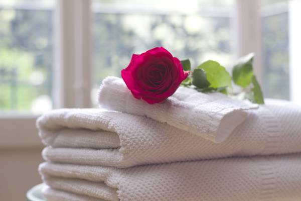 红玫瑰浴巾高清壁纸