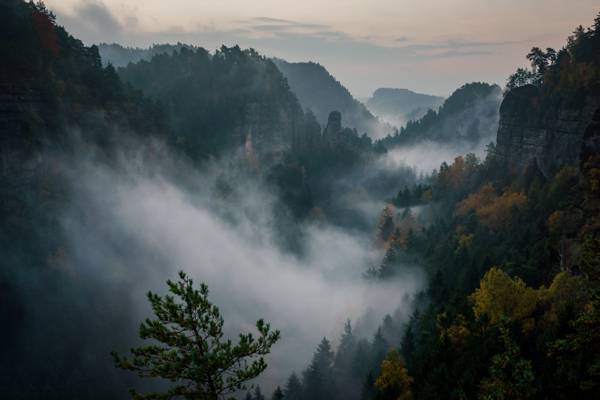 白天高清壁纸在山附近的雾的摄影
