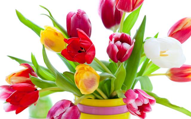 鲜花,鲜花,花瓶,美容,红色,多彩,黄色,郁金香,白色,粉红色,花瓶,花瓣,花束,黄色,明亮,...