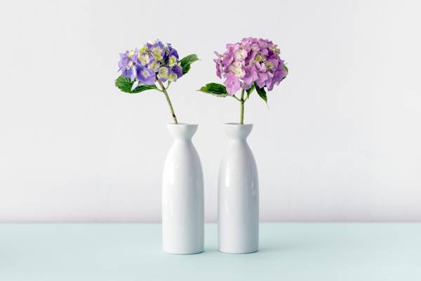 两个花瓶高清壁纸粉色和紫色的花朵