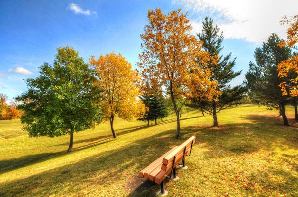 壁纸公园,天空,树木,长凳,草,秋天