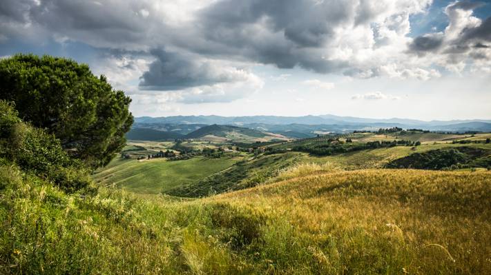 绿色的群山,托斯卡纳,沃尔泰拉,意大利树上的风景照片高清壁纸