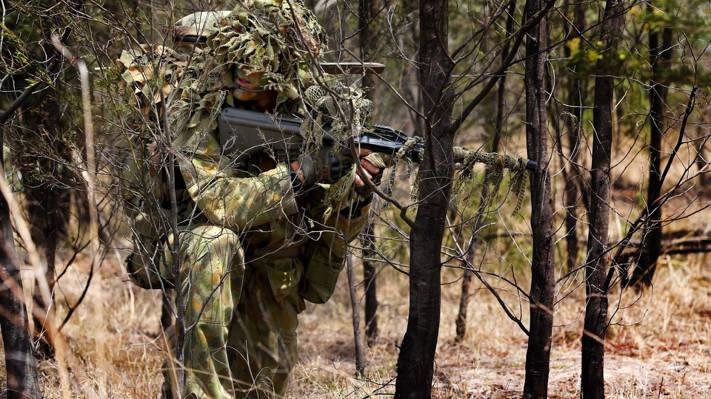 士兵,伪装,森林,澳大利亚军队狙击手