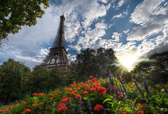 鲜花,法国,鲜花,巴黎,埃菲尔铁塔,法国,夏天,夏天,巴黎,埃菲尔铁塔