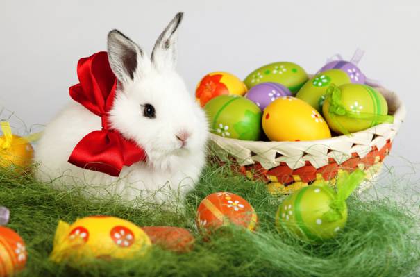 假日,兔,白,复活节,鸡蛋,复活节,弓,复活节,篮子,春天