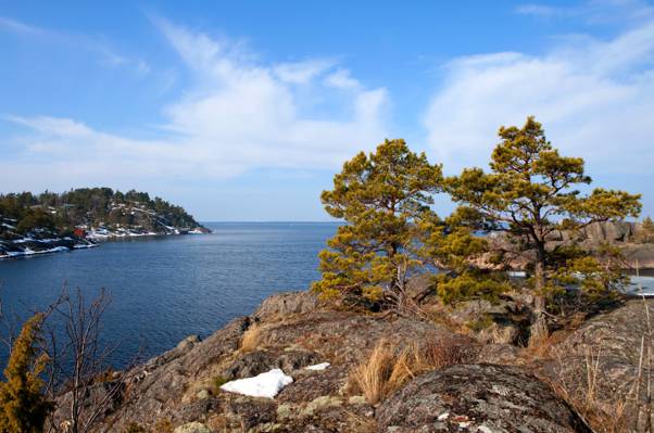 海,岩石,天空,树木,瑞典,云彩