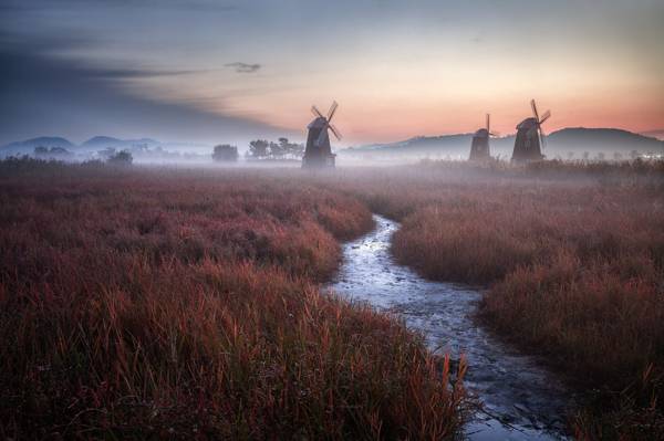 荷兰,风车,云,自然,荷兰,日落,草,雾,暮光之城,流,场,天空,晚上,雾,景观