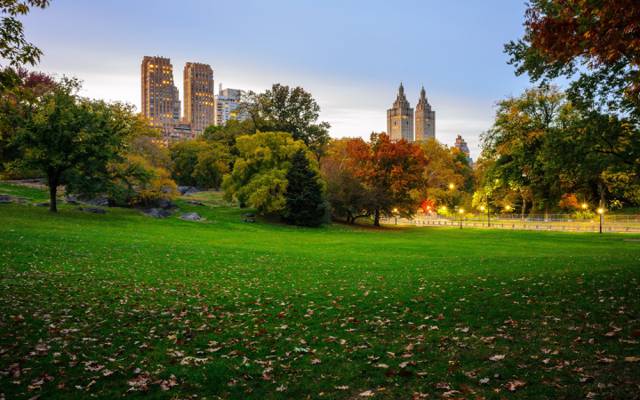 美国,秋天,灯光,草坪,叶子,纽约,摩天大楼,树木,中央公园