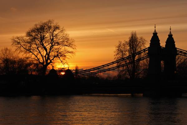 悬索桥,哈默史密斯桥,伦敦高清壁纸的剪影照片
