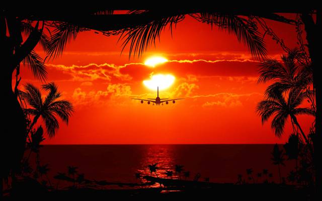 飞机,海,太阳,剪影,日落