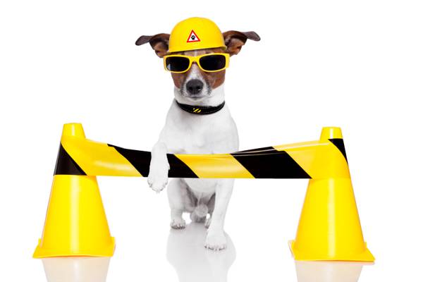 狗,眼镜,杰克罗素梗,头盔,白色背景,黄色,幽默,交通锥