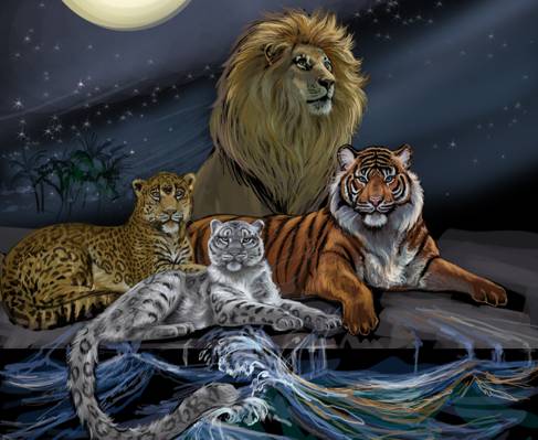 捕食者,鬃毛,动物,豹,看,艺术,雪豹,绘画,月亮,老虎,波,水,...  - 