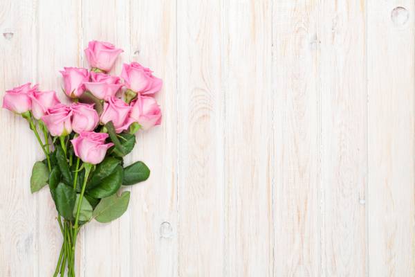 浪漫,玫瑰,玫瑰,花束,木材,粉红玫瑰,粉红