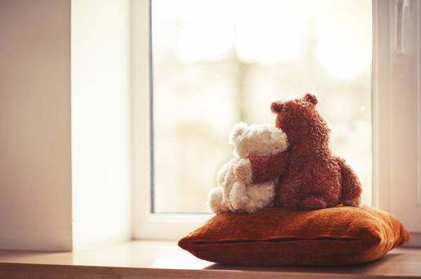 熊,玩具,熊,枕头,窗口,熊,夫妇,玩具,爱,窗口,泰迪,爱,对,可爱,朋友,...
