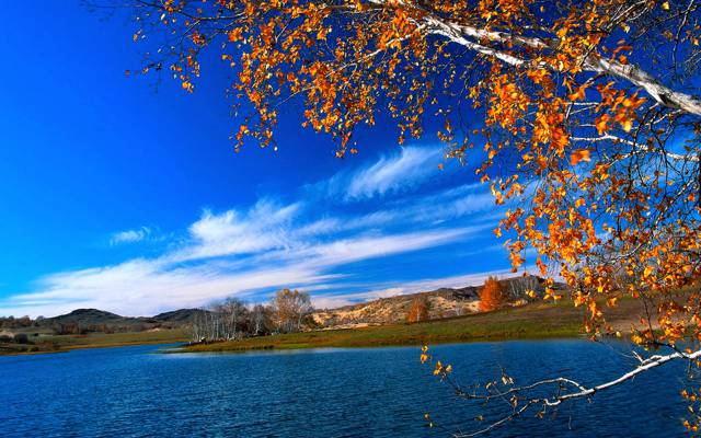 壁纸树,河,景观,天空,秋天,云,叶子