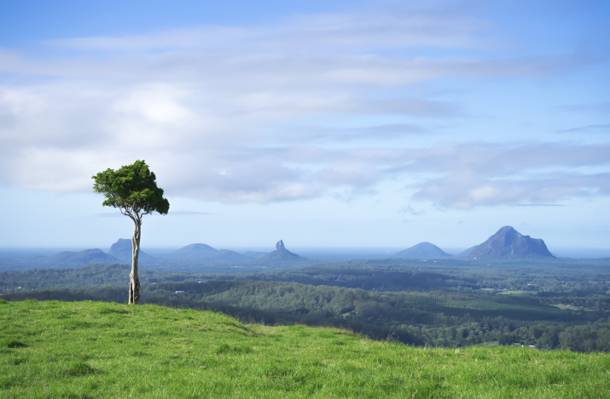在白天,昆士兰,澳大利亚高清壁纸山和绿色的草地景观照片