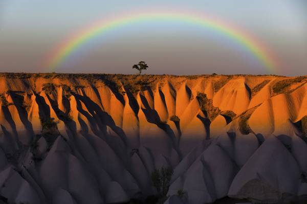 壁纸彩虹,山,卡帕多西亚,卡帕多西亚,埃米尔,树,土耳其,天空,岩石,卡帕多西亚