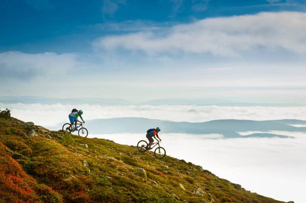 trysil高清壁纸在白天山顶上的两个山地自行车运动员