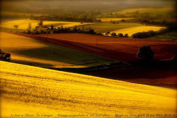 在日落期间,miradoux高清壁纸的草地景观照片