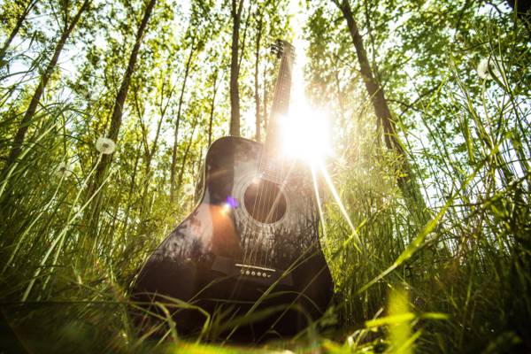 黑色木吉他与阳光上草高清壁纸
