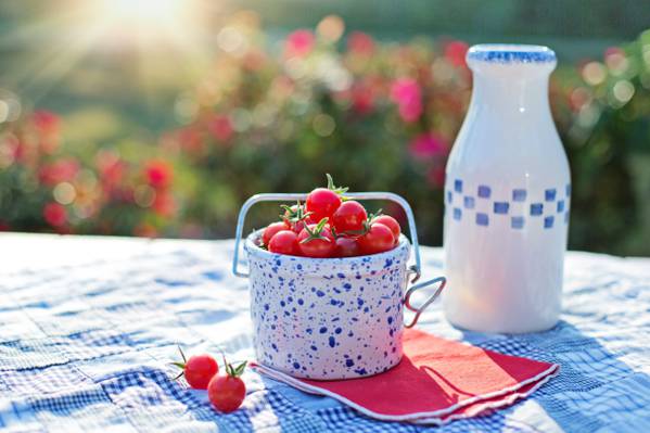 在白色陶瓷容器附近的白色和蓝色桌布白色陶瓷瓶上的红樱桃在白天时间高清壁纸