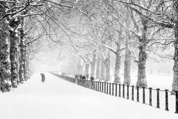 壁纸公园,雪,冬天,路,树,伦敦,人,城市