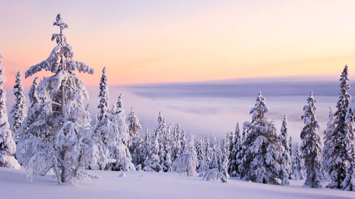 山,树,雪,性质,霜,一天,冬天,白,蓬松,沉默,云