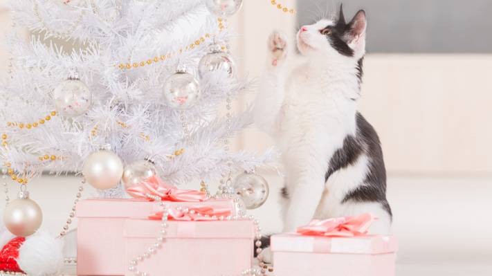 猫,礼品,假期,珠,新年,装饰,玩具