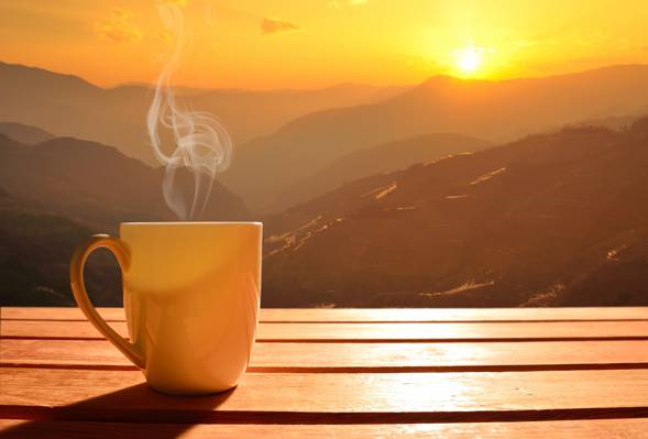 咖啡杯,黎明,早上好,热,咖啡,杯,早上,太阳