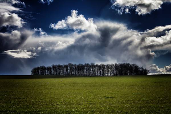 蓝色和白色多云的天空,在白天,温特沃斯,罗瑟勒姆高清壁纸下的绿色草地上的树木的剪影