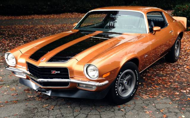 Z28,肌肉车,背景,肌肉车,Camaro,1971,雪佛兰,叶子,轿跑车,Camaro,前面,橙色,...