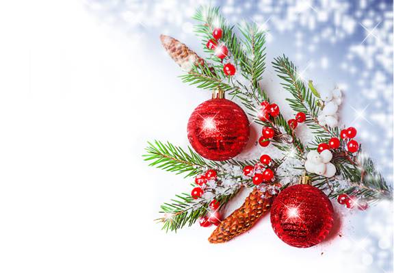 浆果,分支,圣诞装饰品,球,树,凹凸